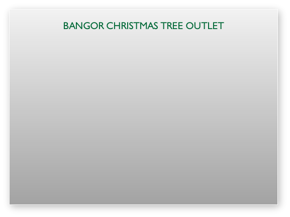 Bangor Christmas tree outlet
